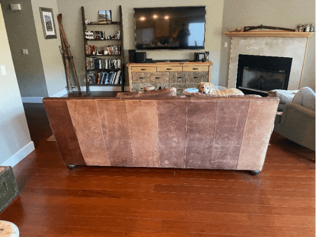 Gif shows different stages of a back of a tan leather couch being treated showing the results.