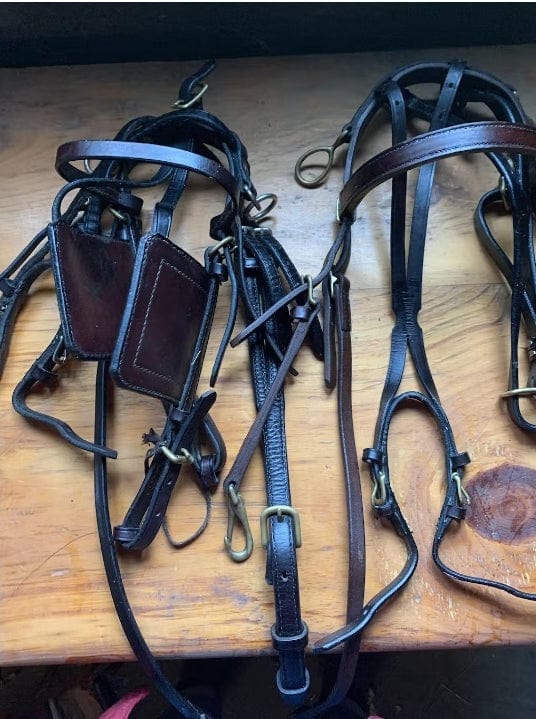 Restored leather horse bridles laid out on a wooden surface. The tack appears clean, deeply conditioned, and polished, with rich dark tones and smooth finishes on the leather and brass hardware. The bridles are neatly arranged, showcasing their revitalized appearance.