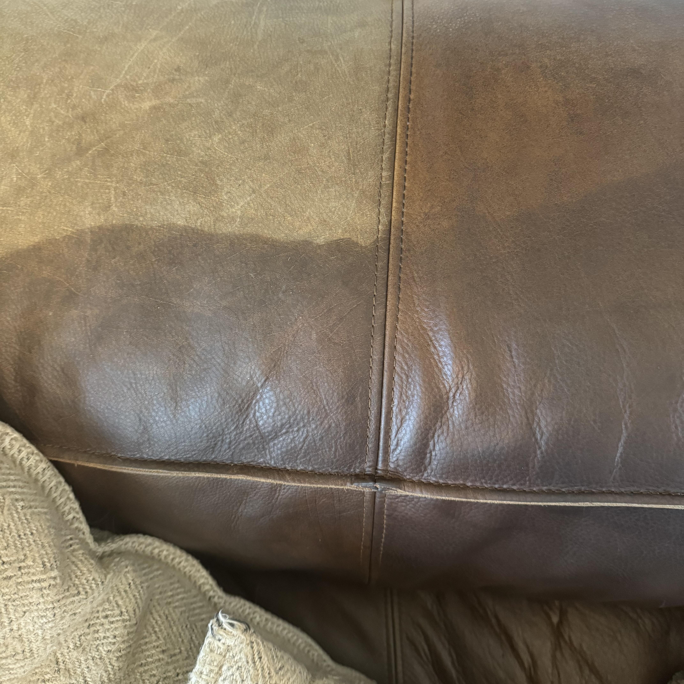 A top view of a chocolate brown leather couch cushion that has the bottom half treated and the top untreated to show the results.